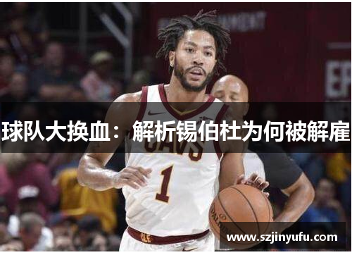 球队大换血：解析锡伯杜为何被解雇